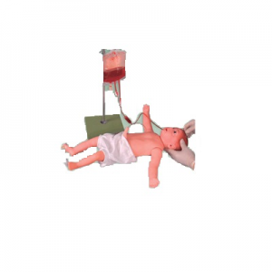 Multifunctional application of whole body venipuncture model in infants